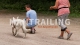 Thumbnail Mantrailing in Recklinghausen
